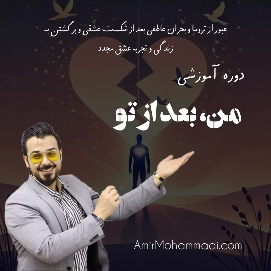دوره آموزشی من پس از تو