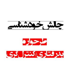 طرحواره بدرفتاری / کنترل‌گری