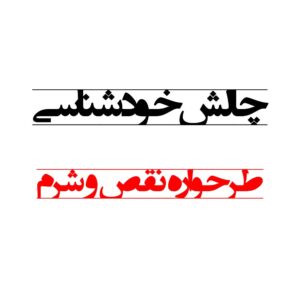 طرحواره نقص / شرم